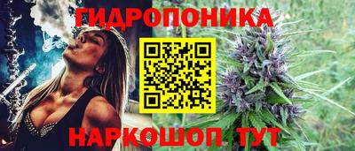 ALPHA PVP Аргун