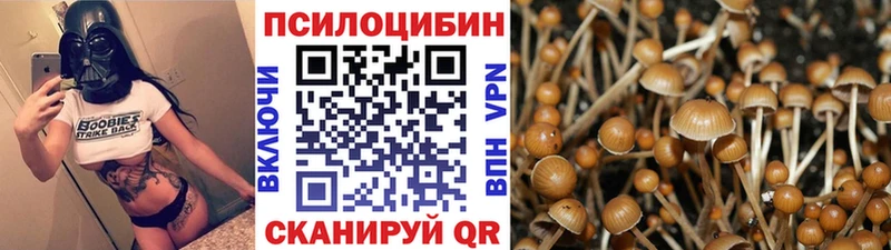 ссылка на мегу вход  Балашиха  Галлюциногенные грибы ЛСД 