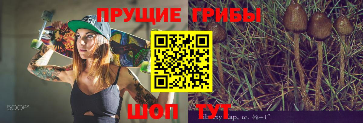 Псилоцибиновые грибы GOLDEN TEACHER  Псилоцибиновые грибы Magic Shrooms  Вход с VPN  Балашиха 